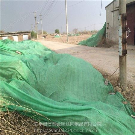 聚乙烯盖土网 工地覆盖网 防尘网多钱一米