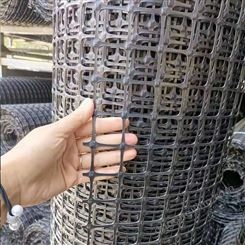 奥焱 塑料土工格栅 塑料网格养殖网 养殖围栏防护网