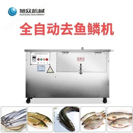 旭众商用小型XZ-550型去鱼鳞机 刮鱼鳞的机器
