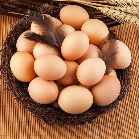 农家散养土鸡蛋草鸡蛋笨柴鸡蛋正宗新鲜土鸡蛋高山散养40枚