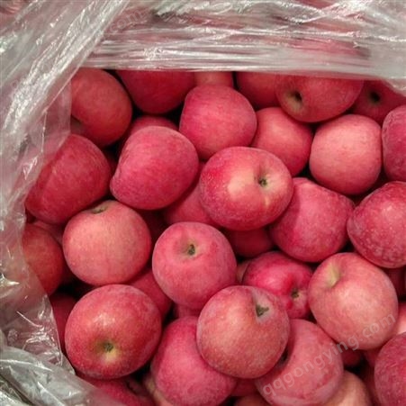 纸袋红星苹果 片红红富士 树上自然熟农家健康种植 昊昌农产品
