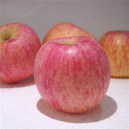 美八苹果 75以上红富士 脆甜多汁营养丰富 昊昌农产品