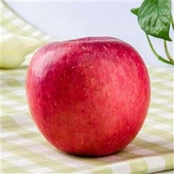 冰糖红富士苹果 红富士苹果放冷库的温度