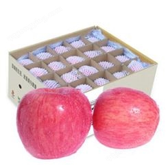 苹果树落果市场价 卖红富士苹果 代收苹果 市场价格