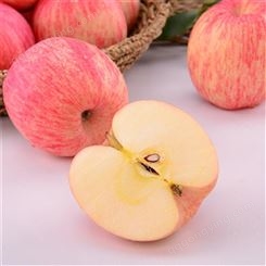 红星苹果 红富士苹果 口感酥脆外形圆润 昊昌农产品