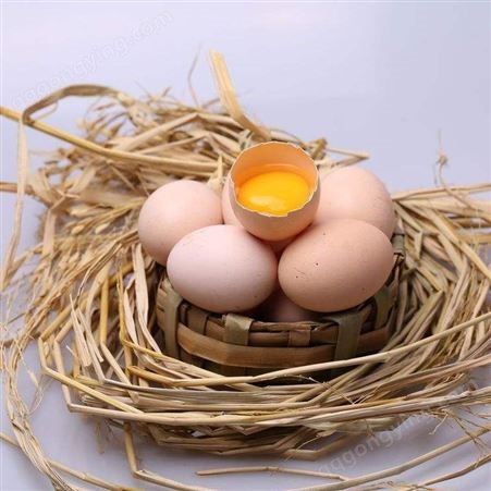 农村散养土鸡新鲜柴鸡蛋草鸡蛋笨鸡蛋月子蛋40枚正宗土鸡蛋