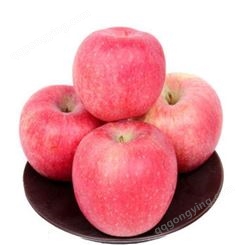双矮红富士苹果 2020年元旦冷库红富士苹果