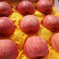 苹果红富士 冷库红富士苹果膜代价格表