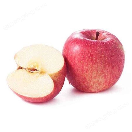 酸甜藤木苹果价格 临沂辽伏苹果 代收苹果 市场价格