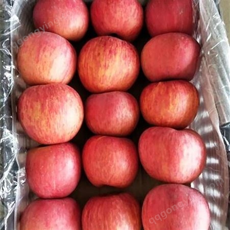 区分红富士苹果 红富士苹果在冷库能保鲜多久