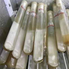 液体接种黑皮鸡枞菌菌种，活性强菌丝旺产量稳，提供技术指导服务。