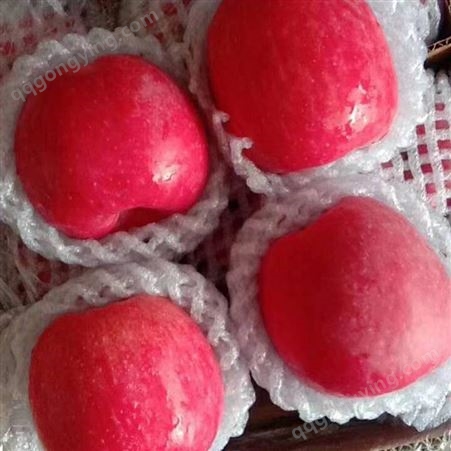 冷库苹果 条纹红富士 健康带皮即食果皮鲜红光滑 昊昌农产品