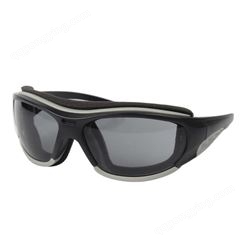 MSA/梅思安 10108312 欧特-GAF防护眼镜