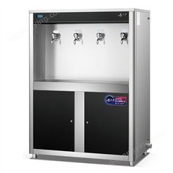柜式饮水机 ZY-4G 智能净水器 商用 办公饮水机