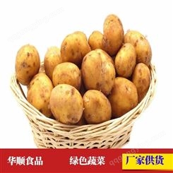 马铃薯 风干晾晒进行加工 可用于超市售卖 蔬菜冷库存储 华顺