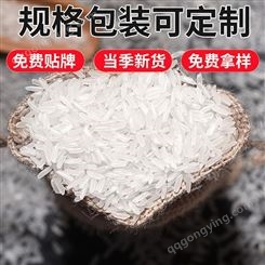 泰国香米 农家自产新米大米 基地供应长粒香米真空包装大米批发