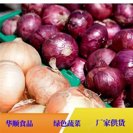 紫皮圆葱头黄皮大洋葱 可定制加工 蔬菜费用 华顺食品