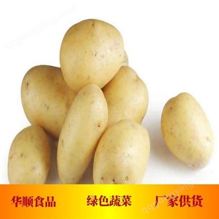 土豆 属于粮食作物 基地生产供货 蔬菜厂家电话 华顺