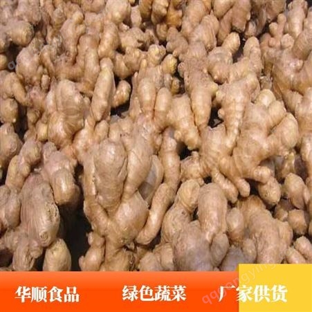 水泥生姜 农产品 用于市场售卖 可做调料 华顺食品