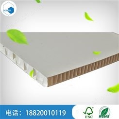 广州PET塑料蜂窝板 航空塑料芯材厂家价格