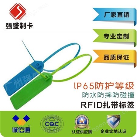 供应RFID扎带标签 抗金属铅封标签 资产管理标签厂家