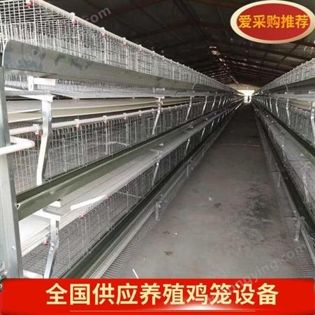 养殖繁育阶梯蛋鸡笼 A字形自动鸡笼三层四门阶梯双面养殖鸡笼