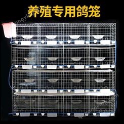 三层镀锌鸽子养殖笼加重繁殖鸽笼、量大从优