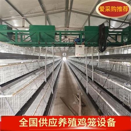 养殖繁育阶梯蛋鸡笼 A字形自动鸡笼三层四门阶梯双面养殖鸡笼