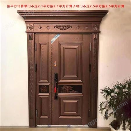 普罗盾大门门家用仿铜门对开大门自建房别墅大门中式入户门