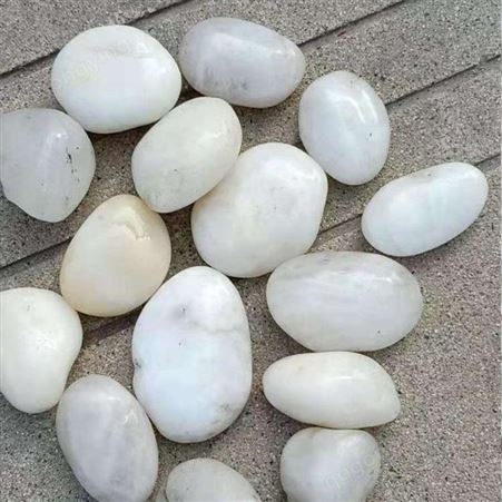 天然白色石子石头 大鹅卵石庭院铺路铺地用