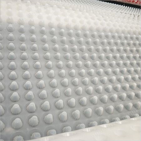 30mm透水疏水板 车库排水板绿化 东吴 HDPE排水板价格