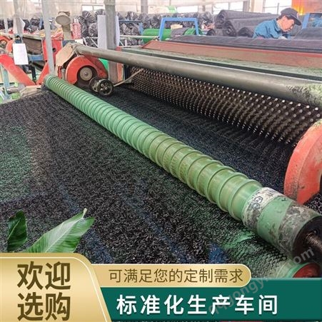 荆门NSS三维植被网 护坡绿化专用三维土工网垫