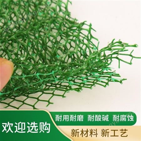 荆门NSS三维植被网 护坡绿化专用三维土工网垫