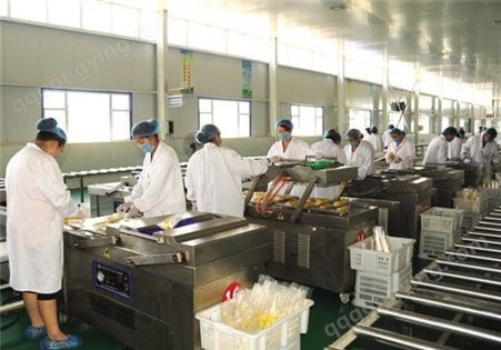 上海嘉备 小型酵素生产设备 番茄酱加工生产线 小型番茄酱生产设备