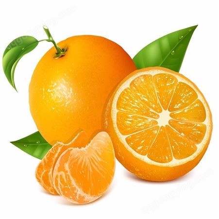 水果罐头 葡萄罐头 橘子罐头_下单