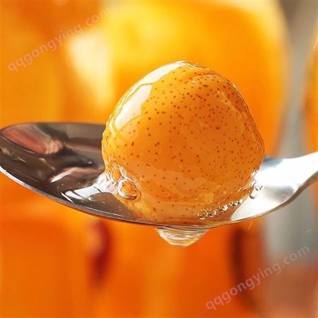 水果罐头 山楂罐头 橘子罐头 _厂家定制 参观