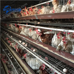 春亿 养鸡场四层阶梯式蛋鸡笼现货安装简便 适合小型笼养鸡厂
