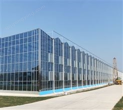 智能温室 智能玻璃温室 玻璃温室 玻璃大棚 智能化大棚