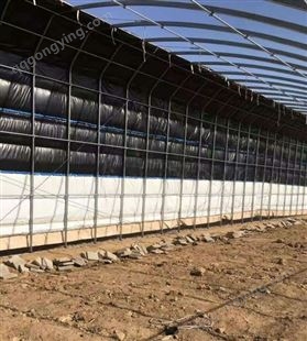 日光温室 蔬菜种植大棚 冬季培育喜温植物 温室大棚承建