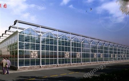 智能玻璃温室 蔬菜花卉种植用玻璃温室 轻钢结构 外形美观