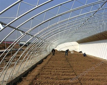 日光温室 花卉农业蔬菜种植日光温室 采光设计好 育苗大棚