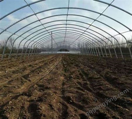 日光温室 新型暖棚利用太阳 可以用来农作物栽培种子培育