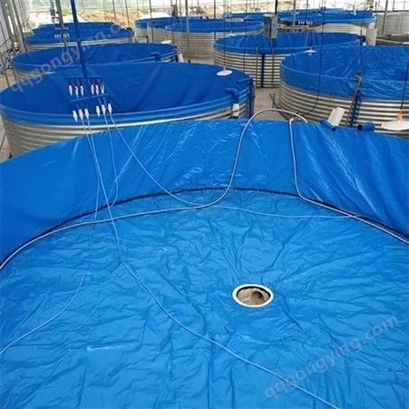 帆布养鱼池 户外篷布水池 高密度镀锌板刀刮布鱼虾蟹池 飞达 F003