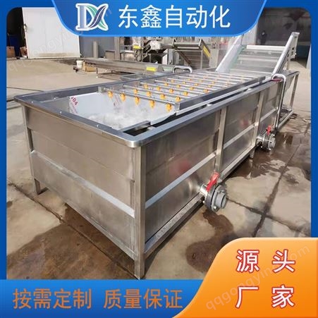 草莓翻浪式气泡清洗机 大型净菜加工设备 东鑫机械