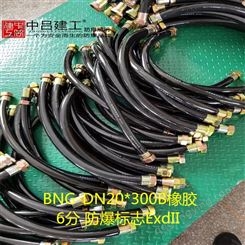 G3/4防爆挠性管BNG-DN20*300B橡胶电缆穿线软管6分防爆标志ExdII