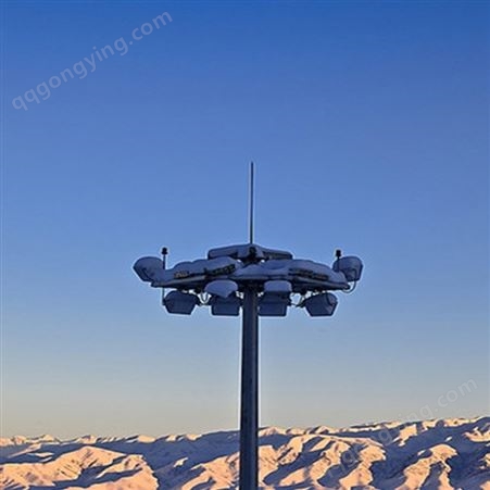 万德福 15米高杆灯 自动升降系统 道路公园用 定制