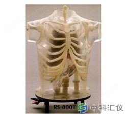 美国RSD ART Phantom 胸部模体