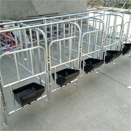 福立供应 单体落地式单体栏 母猪用限位栏 单个猪位定位栏