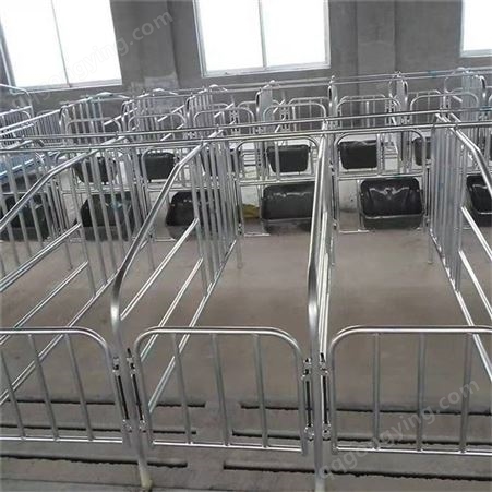 多个猪位栏 母猪产床限位栏 复合漏粪板定位栏 厂家批发