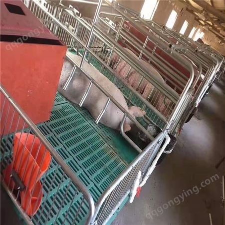 母猪产床养殖设备双体母猪厂家生产全复合养猪产床设备
